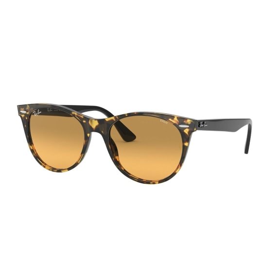 Ray-Ban Wayfarer II Washed Evolve