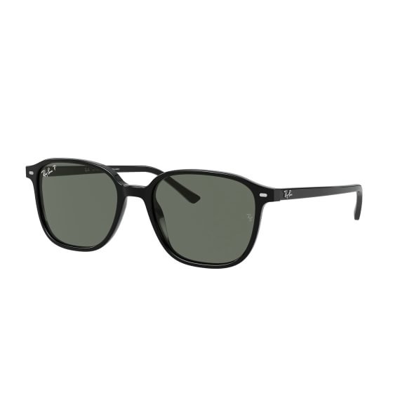 Ray-Ban Leonard RB2193 901/58 53