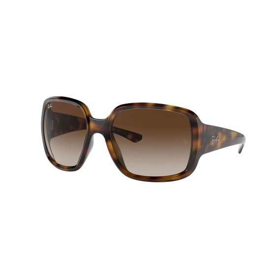 Ray-Ban Powderhorn RB4347 710/13 6018