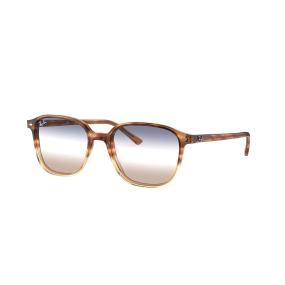 Ray-Ban Leonard RB2193 1328GD 5118