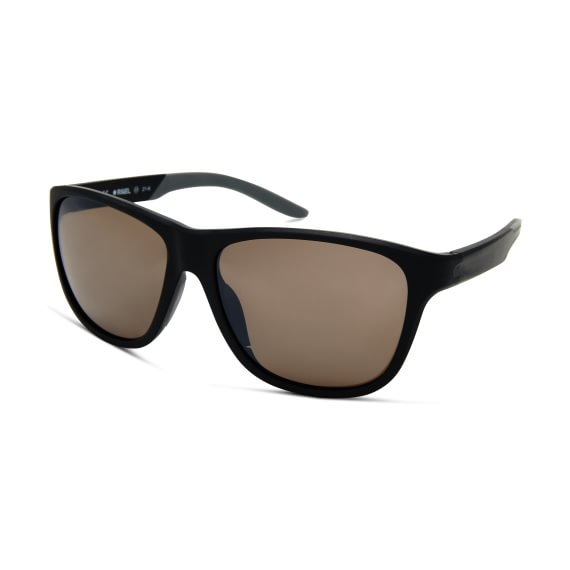 RIGEL Brown Polarized Sirius C40 5916