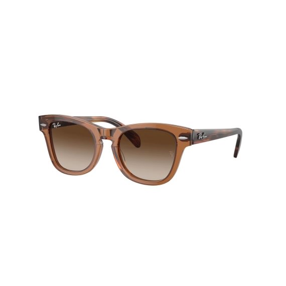 Ray-Ban Junior RJ9707S 712713 4618