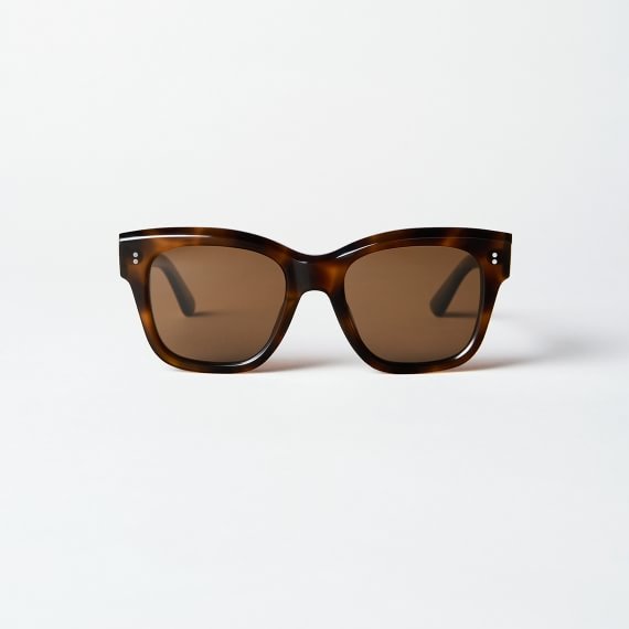 CHIMI 07 Tortoise