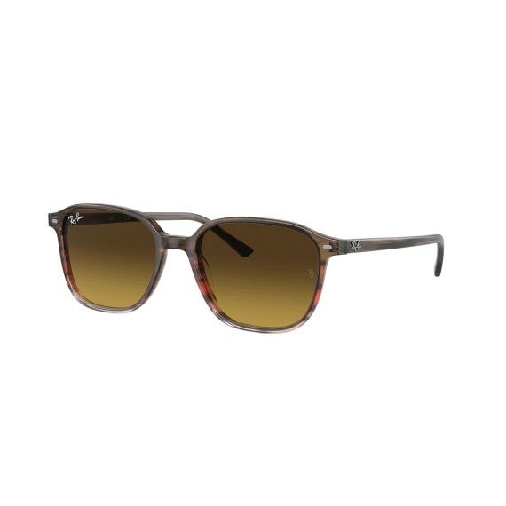 Ray-Ban Leonard RB2193 138085 5318