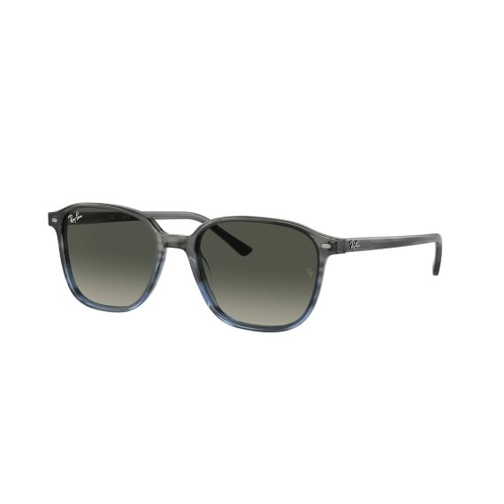 Ray-Ban Leonard RB2193 138171 5518