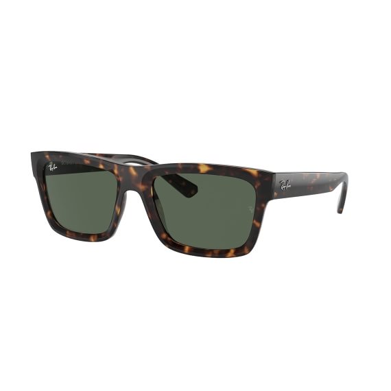 Ray-Ban Warren RB4396 135971 5420