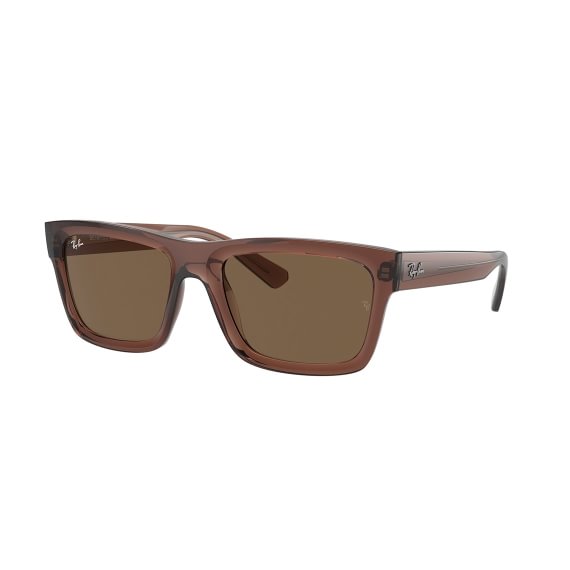 Ray-Ban Warren RB4396 667873 5720