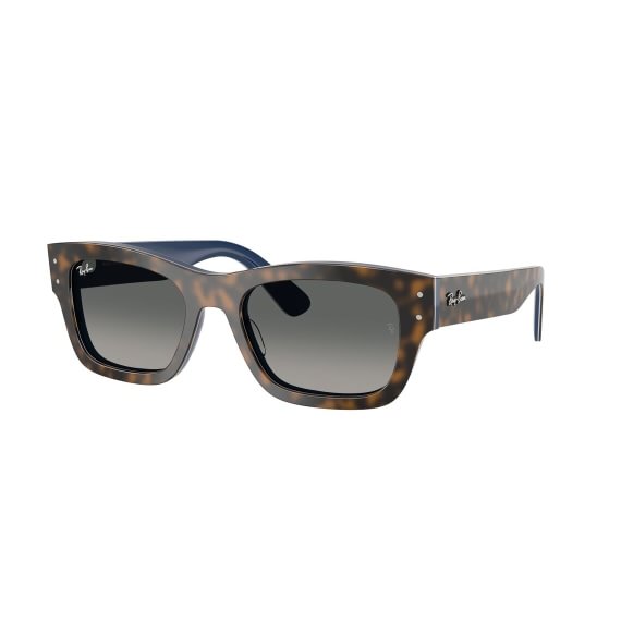 Ray-Ban Joseph RB7683S 140171 5520