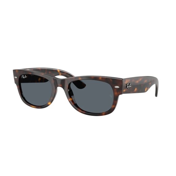 Ray-Ban Mega Wayfarer II RB0832S 902/R5 5221