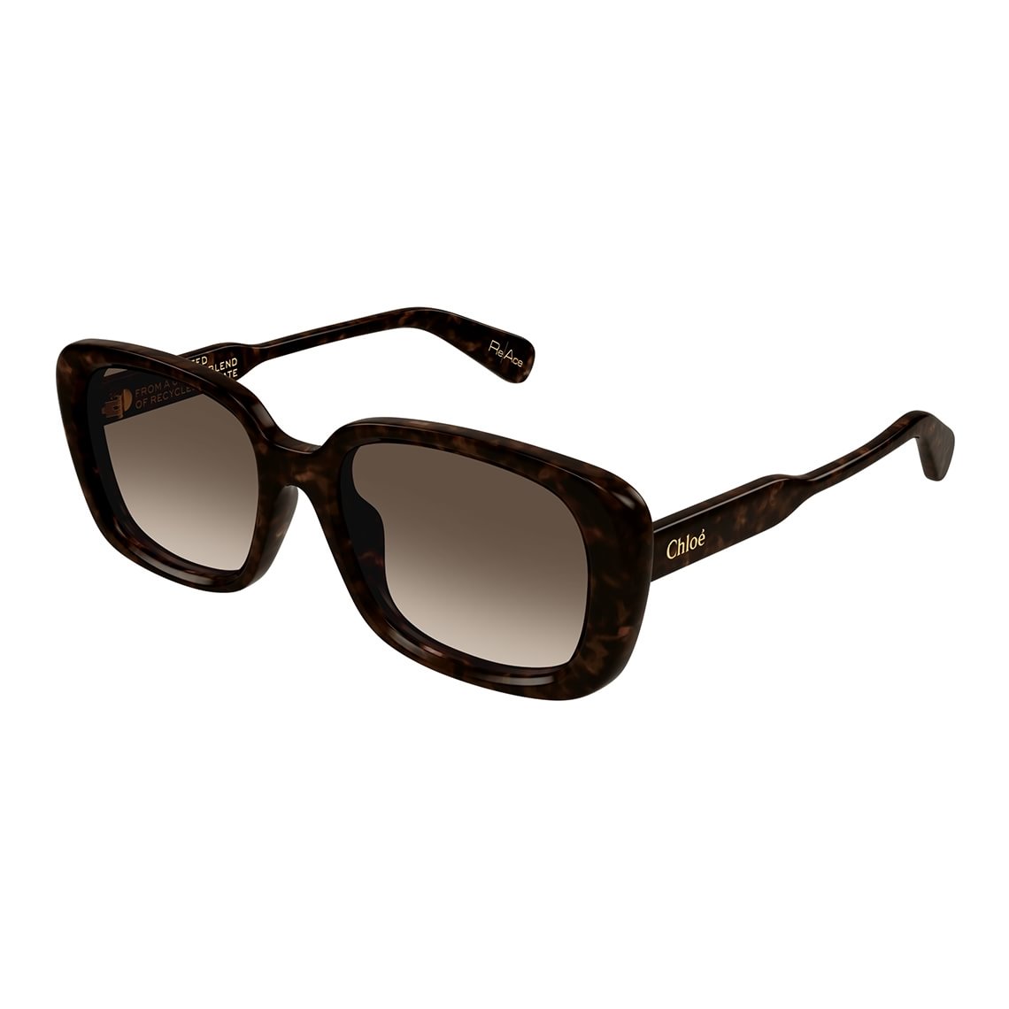 Chloé CH0225SK 002 5519